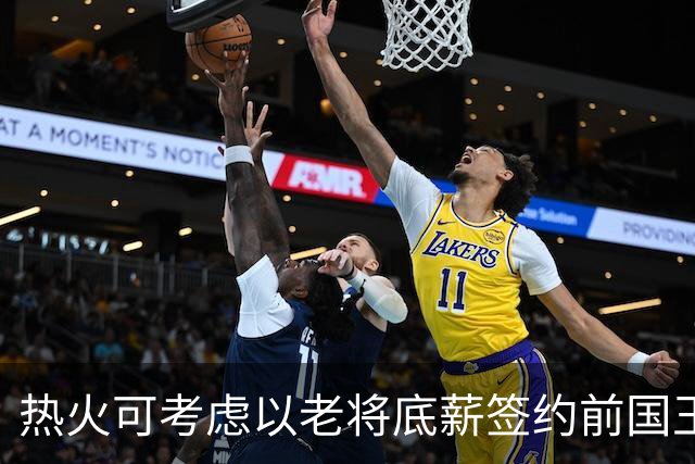 热火可考虑以老将底薪签约前国王新人，需谨慎评估风险